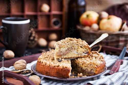 Piece of fresh homemade apple and cinnamon crumb coffee cake