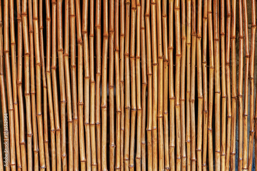 Texture of wooden boards and planks. Bamboo sticks. 