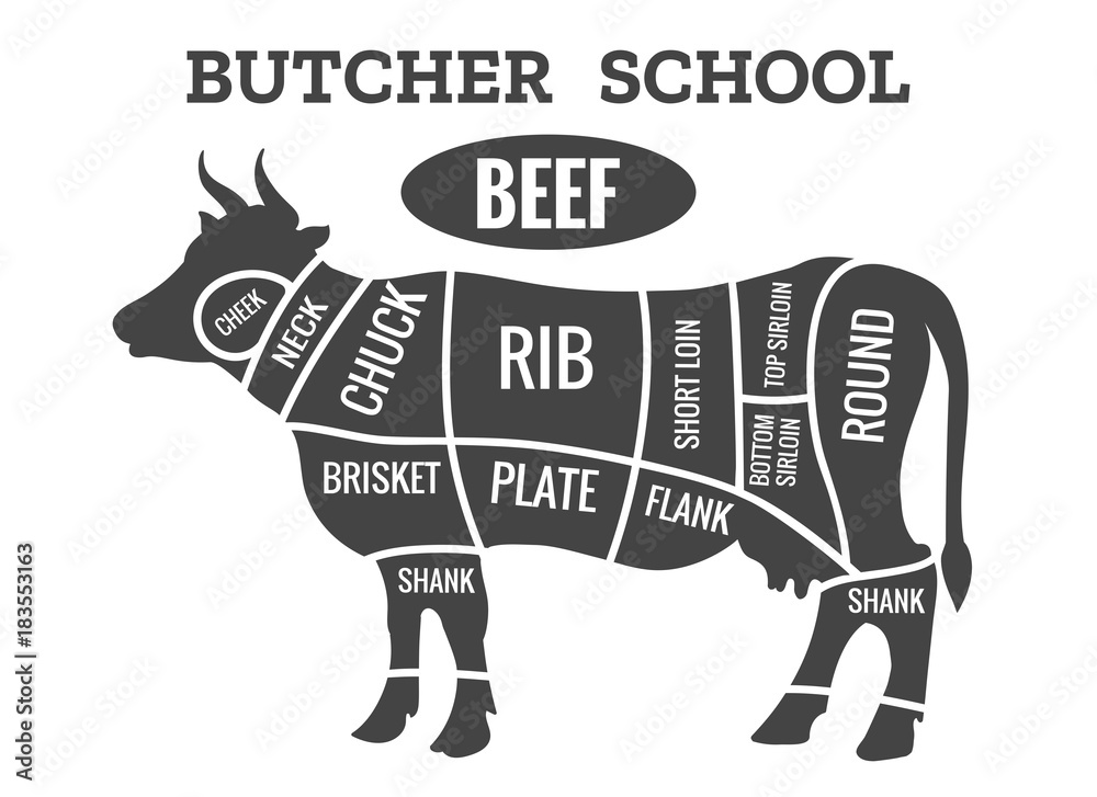 Cow butcher diagram. Cutting beef meat or steak cuts diagram chart for