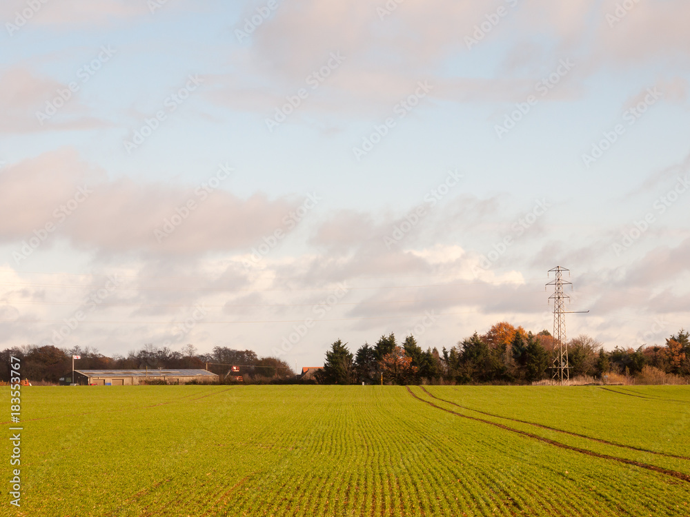 autumn green growing farmland landscape scene country with electricity pylon in blue cloudy sky