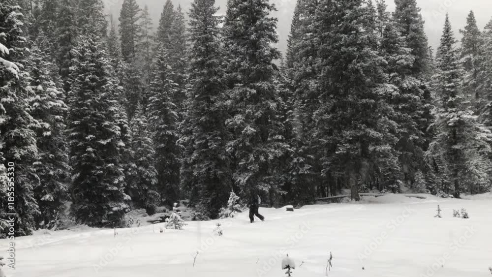 Man cross country snow skiing in Montana mountains on Christmas holiday Man cross country snow skiing in Montana mountains on Christmas holiday