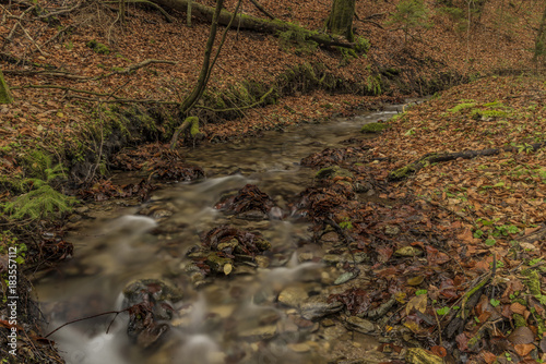 Bansky creek in autumn morning near Spania Dolina photo
