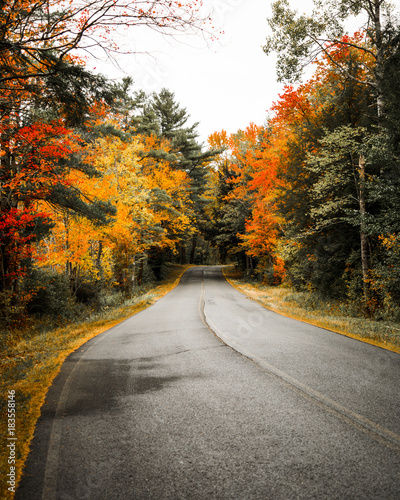 Scenic view of road passing through forest during autumn