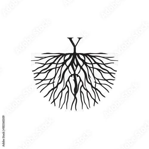letterY with root logo vector