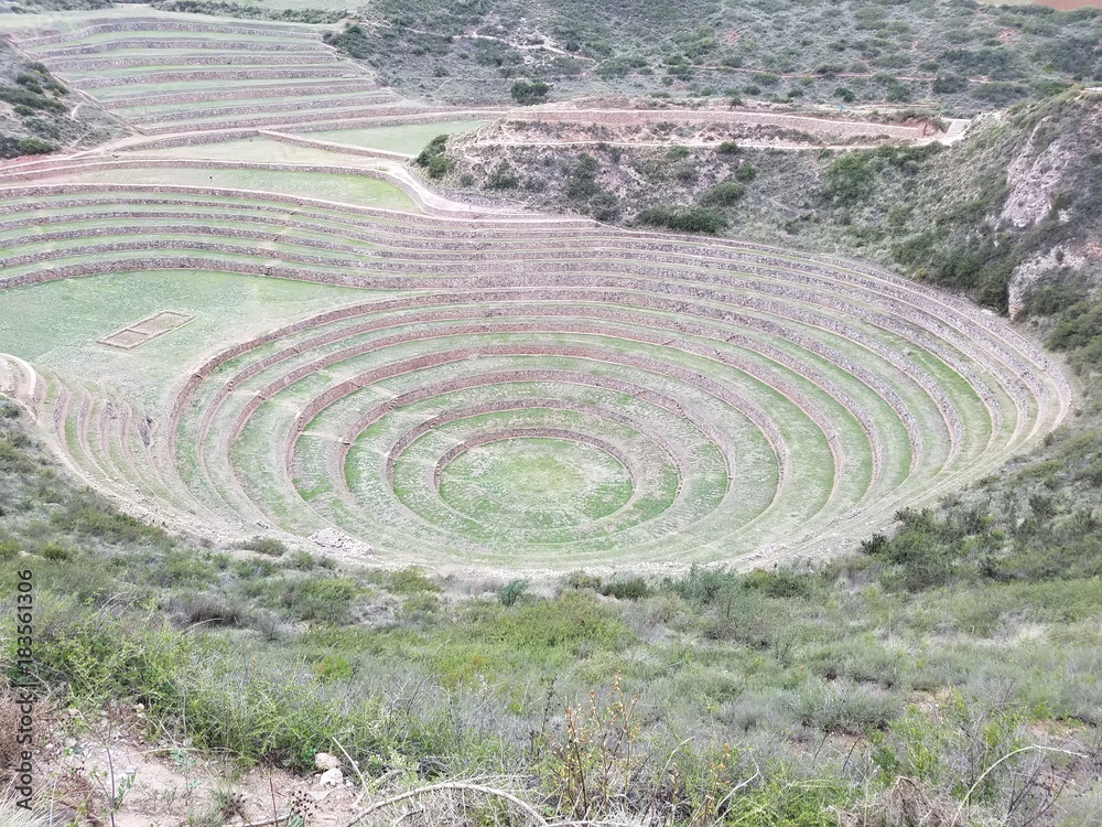 Moray Moray