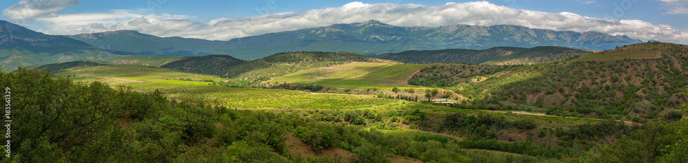 Beautiful summer panorama of vineyards in the mountains of Crimean peninsula