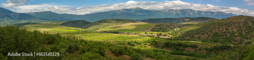 Beautiful summer panorama of vineyards in the mountains of Crimean peninsula