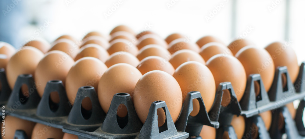 eggs on the plastic for sales