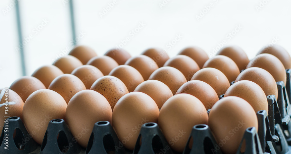Fototapeta premium eggs on the plastic for sales