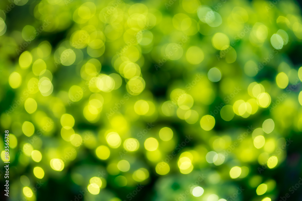 Obraz premium Christmas holiday lights bokeh background