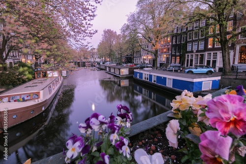 Flowers at sunset over the canal, Amsterdam © P.Junek
