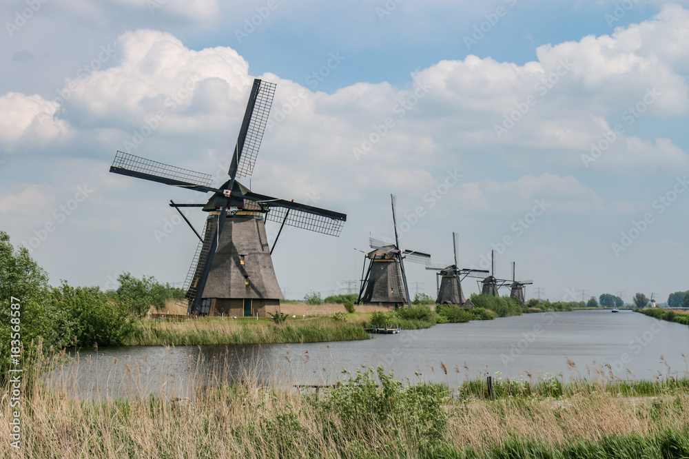 Fototapeta premium Traditional Dutch windmill in Kinderdijk - Netherlands