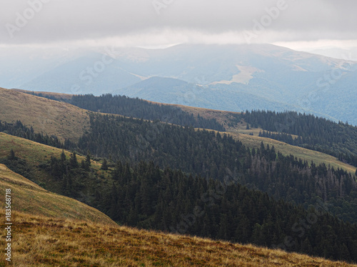 Carpatian mountains and green forest