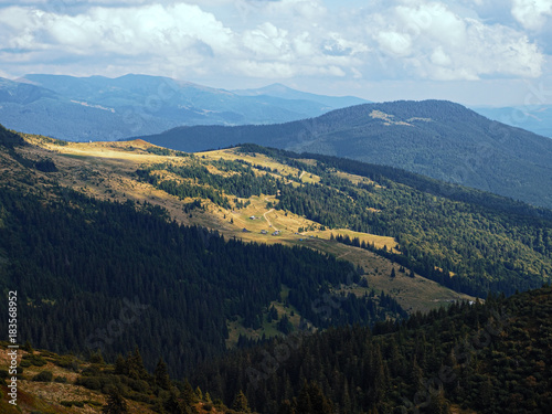 Carpatian mountains village at green forest