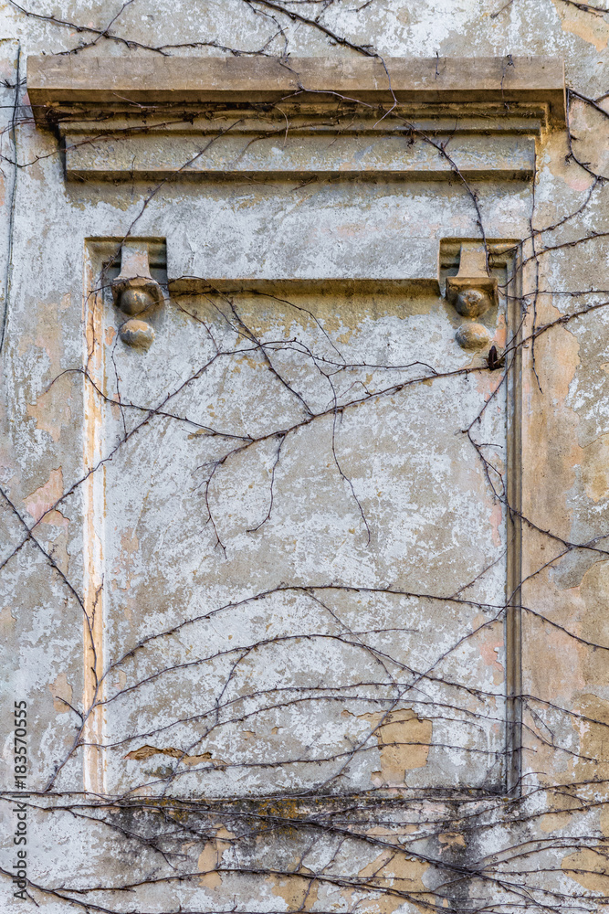 Background texture in the form of a frame. Deaf niche, in the wall of the old house, with remnants of colored plaster, covered with dried, creeping plants.