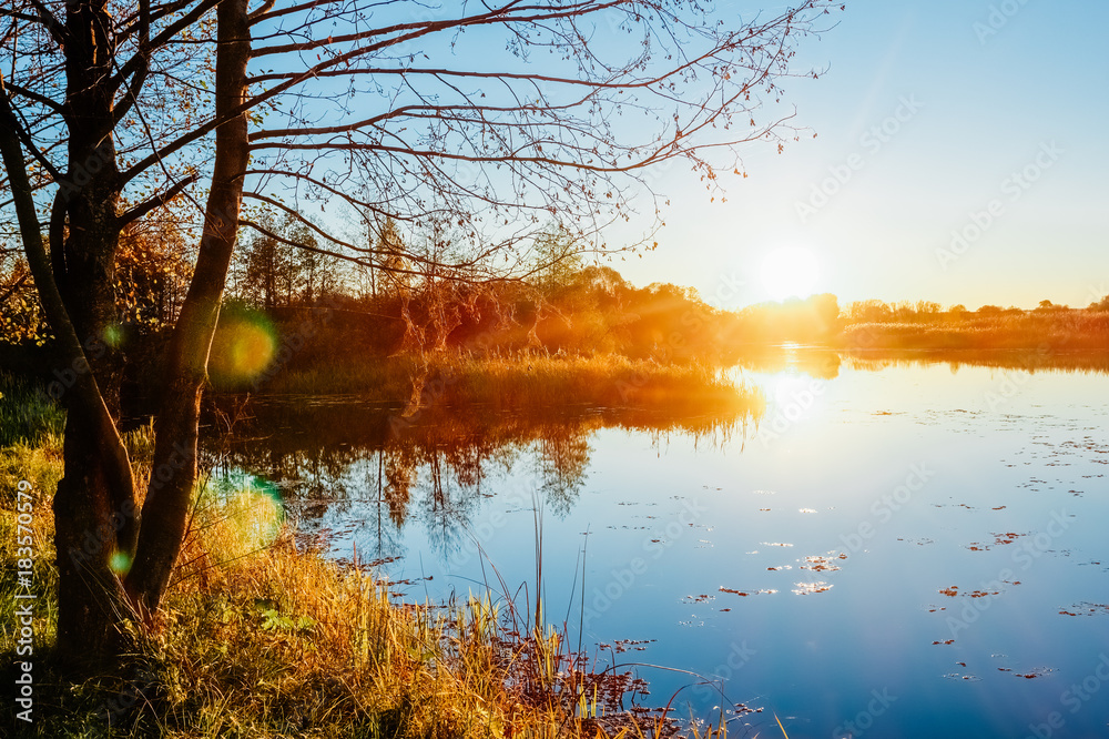 Obraz premium Evening at sunset on a river with a tree on the shore