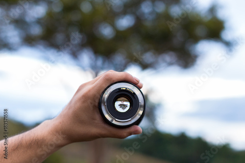 big tree nature view through the camera lens