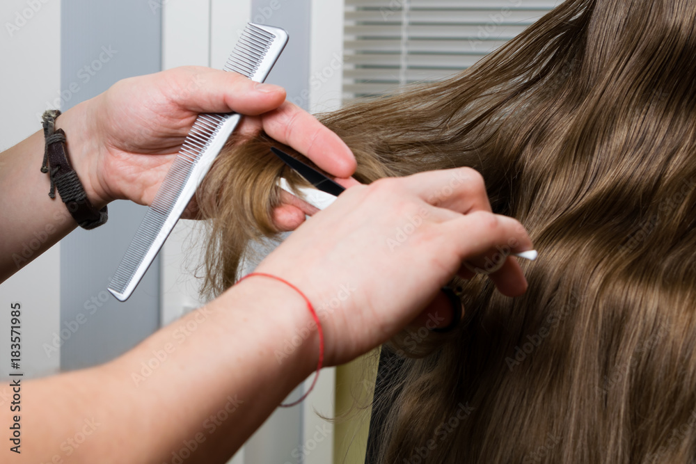 Fototapeta premium haircut of long hair of the girl, removal of split ends