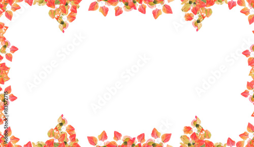 Isolated autumn leaves frame for nature background and design.