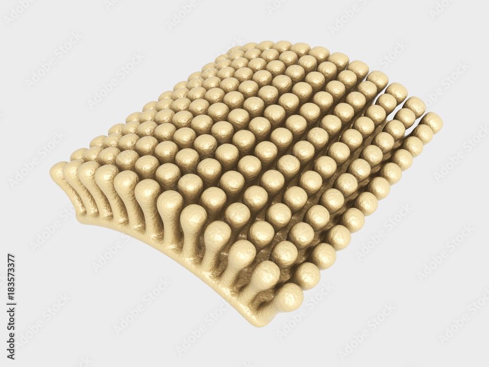 3d rendered colon villi in white background