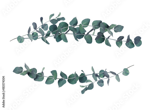 Decorative eucalyptus leaves wave arrangements