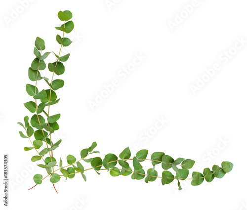 Decorative eucalyptus leaves corner arrangement