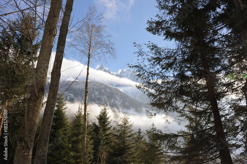 Snowy landscape in winter with Alps mountains and trees