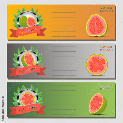 Vector illustration for ripe fruit green guava