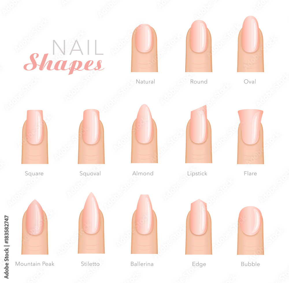 Professional manicure different shapes of nails vector Stock Vector ...