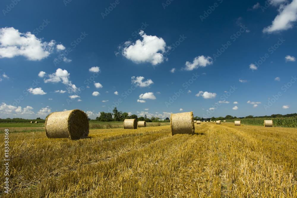 Mowed field and hay circles