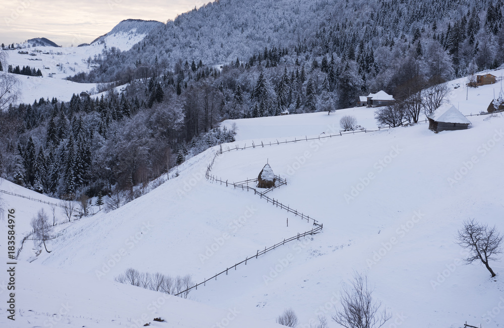 Romanian countryside landscape in winter