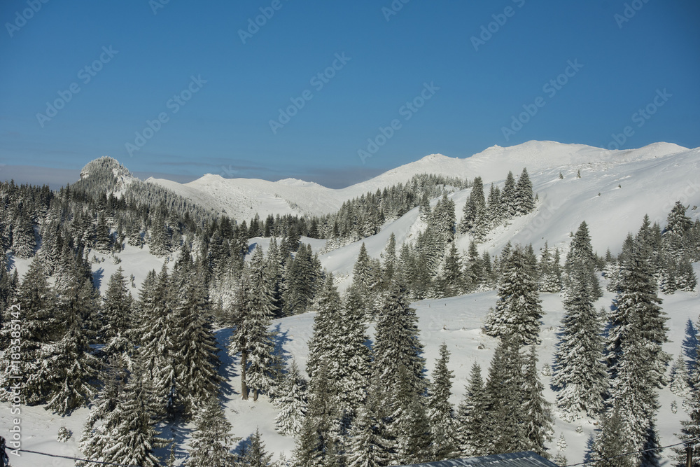 Winter landscape in Romania