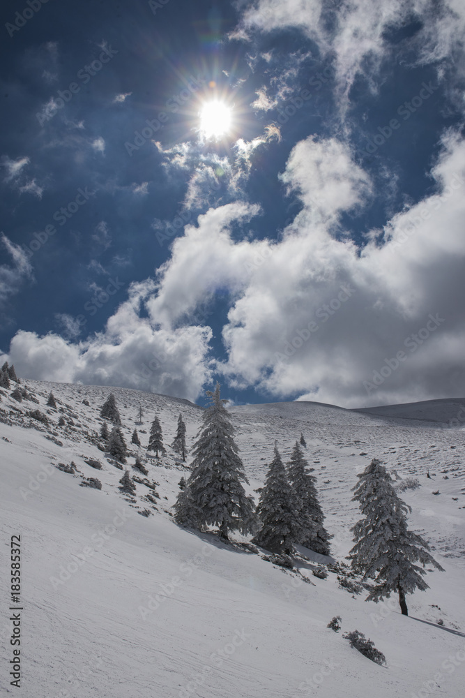 Obraz premium Winter landscape in Romania