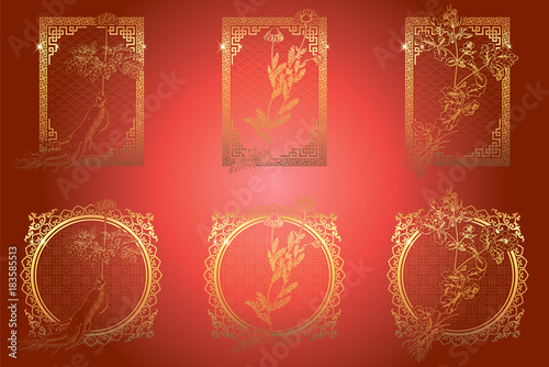 Set of medicina herbs with patterned frames: ginseng, chamomile, celandine. Vector illustration in engraving style, in red and gold.