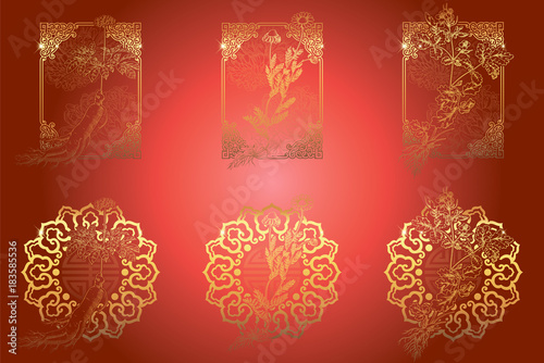 Set of medicina herbs with patterned frames: ginseng, chamomile, celandine. Vector illustration in engraving style, in red and gold.