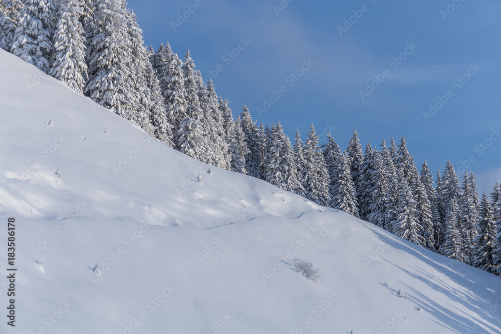 Winterlandschaft mit Schnee und Wald im Hintergrund