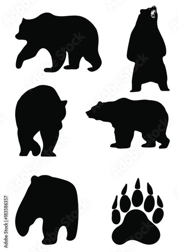 grizzly bear vector. contour grizzly bear