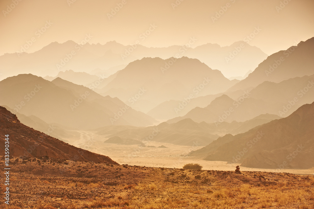 Valley in the Sinai desert