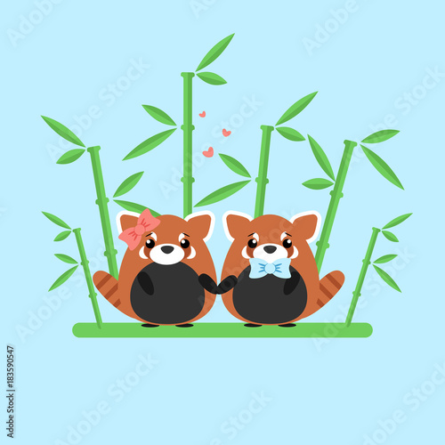 Fototapeta Naklejka Na Ścianę i Meble -  Vector illustration of red panda couple in love with ornate bamboo isolated on blue background. Romantic design elements and heart symbols with animals in flat style for Valentine day