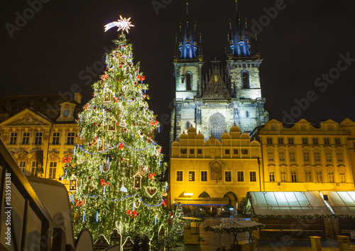 Photography Christmas tree in Prague in the Old Town Square