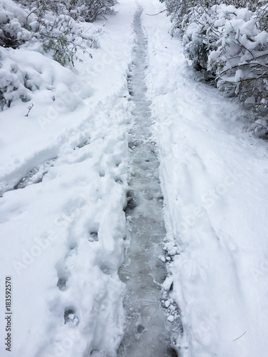 Path in the snow. Winter © Smeilov