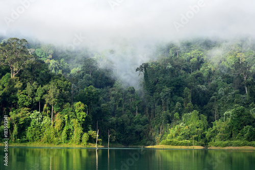 Fototapeta Naklejka Na Ścianę i Meble -  Landscape of dense tropical rainforest at Rajjaprabha Dam or Cheow Lan Dam (Guilin of Thailand), Forest landscape of Thailand