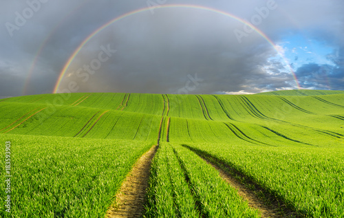 rainbow over a green spring field