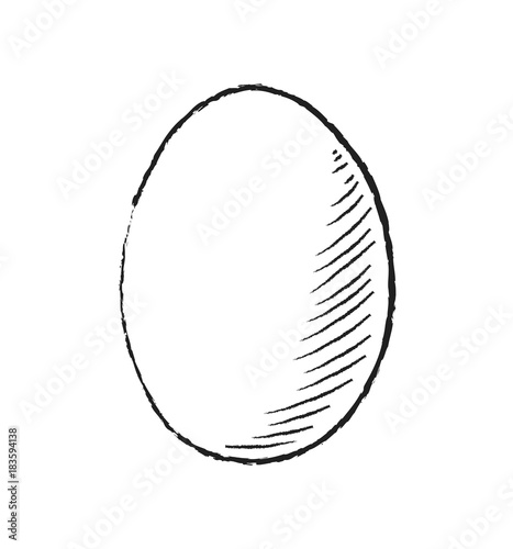 Egg vector icon isolated sketch pictogram