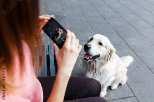 Image of woman on bench photographing dog