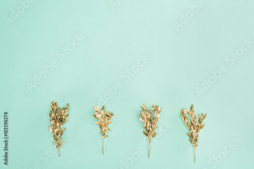 top view of arranged colored golden plants isolated on blue