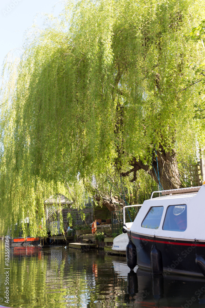 Naklejka premium London