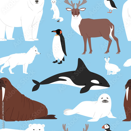 Arctic animals cartoon vector polar bear or penguin character collection with whale reindeer and seal in snowy winter antarctica set seamless pattern background