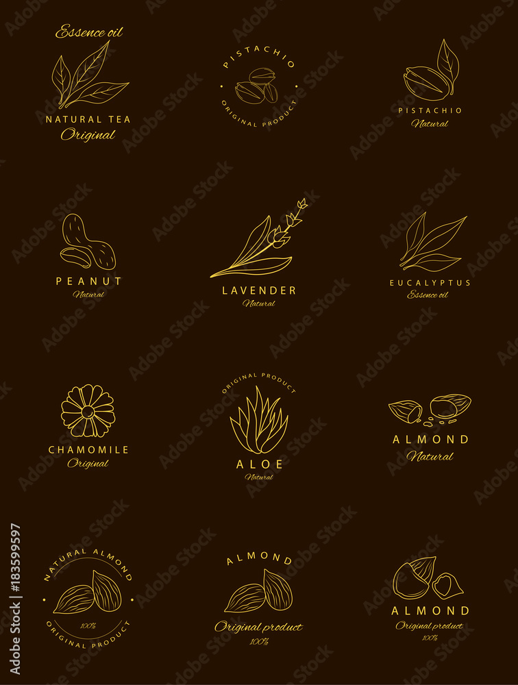 Vector set of golden packaging design templates and emblems. Argan, aloe, peanut, almond, eucalyptus, tea, chamomile and pistachio . Logos in trendy linear style