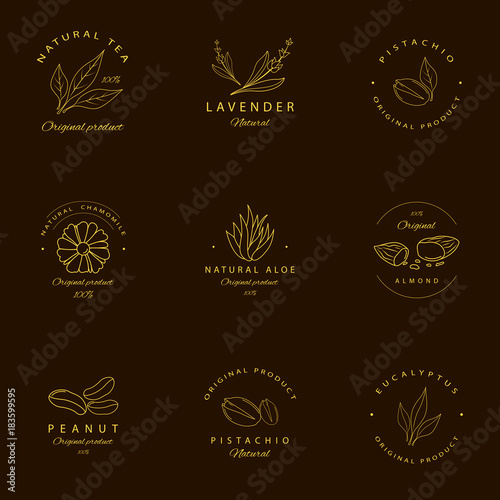 Vector set of golden packaging design templates and emblems. Argan, aloe, peanut, almond, eucalyptus, tea, chamomile and pistachio . Logos in trendy linear style